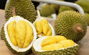 Xuất khẩu rau quả lập kỳ tích mới, lần đầu chạm ngưỡng 6 tỷ USD