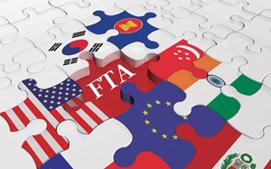 Xuất khẩu Việt Nam năm 2024: Bức tranh tăng trưởng ấn tượng 
