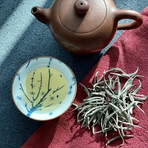 Giá trị sức khỏe từ Shan Tuyết Bạch Trà