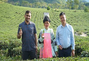 Từ đồi chè Lai Châu đến bàn trà Afghanistan