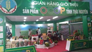 Thái Nguyên: 240 sản phẩm đạt tiêu chuẩn OCOP 