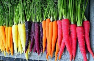 Cà rốt: Bí quyết vàng cho sức khỏe và sắc đẹp