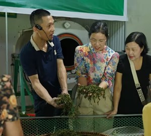 HTX Tâm Trà Việt và hành trình nâng tầm giá trị chè địa phương