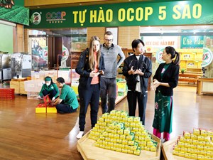 Liên kết HTX, vùng nguyên liệu an toàn: Chìa khóa nâng tầm Chè Tân Cương