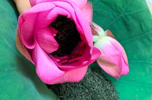 Trà ướp hoa Việt Nam: Bản sắc khác biệt giữa thị trường toàn cầu