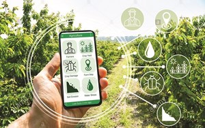 Chìa khóa thúc đẩy xuất khẩu nông sản thực phẩm Việt Nam