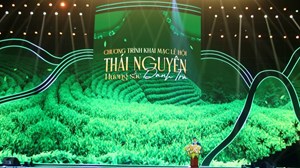 Festival “Thái Nguyên – Hương sắc danh trà”: Lan tỏa giá trị văn hóa trà Việt trong thời kỳ hội nhập