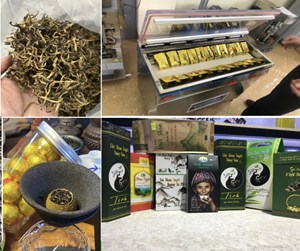 Đổi mới công nghệ: Chìa khóa nâng giá trị chè Shan Tuyết 