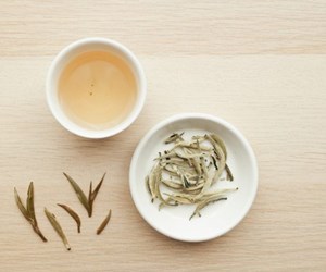 Bạch trà: Tuyệt phẩm từ những nụ non trắng mịn