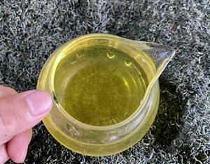 Trà xanh, món quà vô giá cho sức khỏe toàn diện