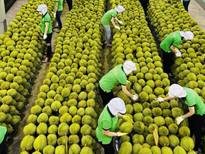  Nông nghiệp Việt Nam năm 2023: Tăng trưởng cao nhất trong 10 năm gần đây