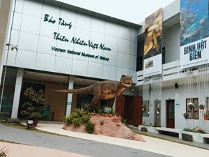 Hà Nội: Phê duyệt quy hoạch Bảo tàng Thiên nhiên Việt Nam ở Quốc Oai