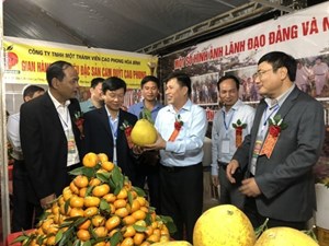 Hòa Bình: Huyện Cao Phong quyết tâm hoàn thành các nhiệm vụ trọng tâm năm 2025