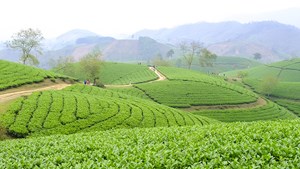 Phú Thọ: Phát triển du lịch cộng đồng ở huyện Tân Sơn