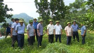 Phú Thọ: Huyện Thanh Sơn đột phá sau nhiều năm xây dựng nông thôn mới