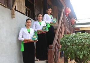 Gạo nếp Quạ đen - Đặc sản Thanh Sơn phấn đấu trở thành sản phẩm OCOP
