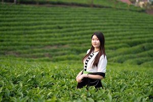 Khám phá đồi chè Mỹ Bằng Tuyên Quang - Tọa độ check-in vạn người mê