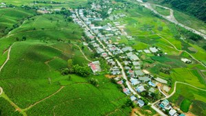 Lai Châu: Ấn tượng "Lễ hội trà và Tuần Văn hóa Du lịch huyện Tân Uyên lần thứ nhất năm 2024"