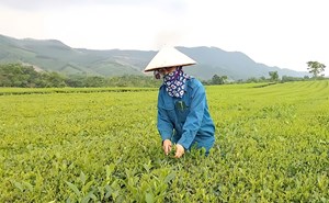 Phú Thọ: Xã Yên Sơn chung sức đồng lòng xây dựng nông thôn mới