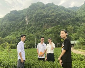 Thái Nguyên: Hợp tác xã trà an toàn Phú Đô phát triển du lịch nông nghiệp, hướng đi bền vững