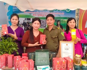 Hà Nội: Nguyện vọng chính đáng của người dân làng nghề chè Phú Yên, xã Yên Bài