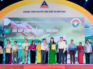 Chè búp xanh Yên Thủy - Hòa Bình: Được công nhận sản phẩm công nghiệp nông thôn tiêu biểu tỉnh năm 2024