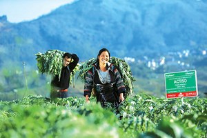 TraphacoSapa và hành trình nâng tầm nông sản Tây Bắc