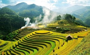 Thanh Hóa thu 184 tỷ đồng từ du lịch dịp Tết Dương lịch 2026