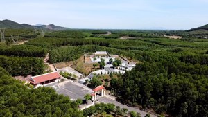 Hà Tĩnh: Nhiều hoạt động kỷ niệm 120 năm Ngày sinh Tổng Bí thư Hà Huy Tập