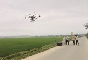 Quảng Trị thúc đẩy phát triển nông nghiệp xanh gắn với chuyển đổi số