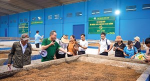 Hà Tĩnh: Gần 1.300 tỷ đồng đầu tư tổ hợp nông nghiệp hữu cơ 4F Quế Lâm 