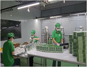 Thanh Hóa: Đa dạng hóa sản phẩm OCOP – Hướng đi bền vững cho kinh tế miền núi