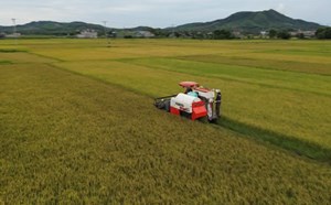 Từng bước xây dựng nền nông nghiệp hiện đại, bền vững tại Hà Tĩnh