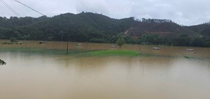 Hà Tĩnh: Báo cáo nhanh về thiệt hại do bão số 10 gây ra