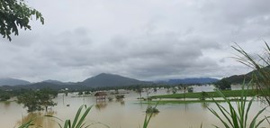 Hà Tĩnh: Hàng trăm ha chè ngập trong biển nước