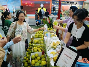 Thương hiệu cam chanh Hà Tĩnh ghi dấu ấn tại hội chợ 