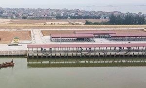 Hà Tĩnh vận hành cảng cá hiện đại 280 tỷ đồng, kỳ vọng tạo cú hích kinh tế biển