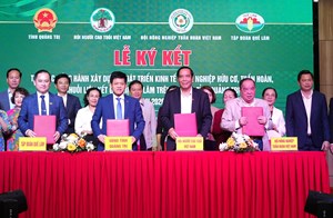 Quảng Trị phát triển nông nghiệp hữu cơ, nâng cao chất lượng nông sản