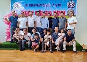 Hội chim cu gáy Sóc Sơn: Thanh âm mùa Xuân phố thị