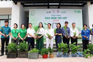 Gieo mầm Trà Việt 2026: “Chạm đất” để chạm tới tương lai xanh