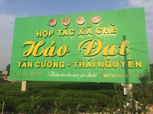 HTX chè Hảo Đạt: Nỗ lực xây dựng  thương hiệu sản phẩm gắn với mục tiêu "Người Việt ưu tiên dùng hàng Việt"