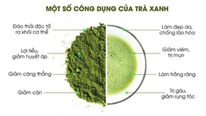 Tác dụng của trà sấy khô, trà tươi và trà túi lọc đối với sức khỏe