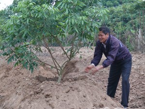 Chủ động ứng phó trước mùa mưa bão