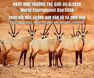 Kỷ niệm ngày Môi trường thế giới (5/6): Chung tay vun đắp cuộc sống Xanh