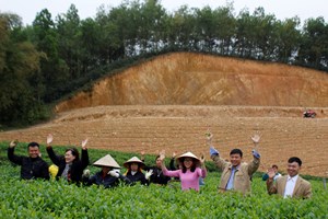 Thái Nguyên: Huyện Đồng Hỷ phát triển nâng cao giá trị sản phẩm chè vươn xa