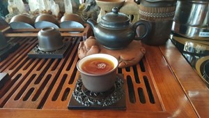 Uống trà Shan tuyết vào mùa đông