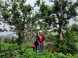 Hà Giang: Nhiều tiềm năng phát triển ngành du lịch nông nghiệp