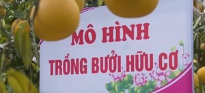 Hòa Bình: Phấn đấu thành trung tâm  nông nghiệp ứng dụng công nghệ cao