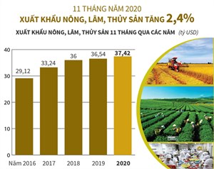 Ngành nông nghiệp năm 2020: Vươn mình trong gian khó, thích nghi để phát triển