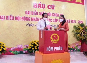 Hải Phòng: Đảm bảo công tác bầu cử an toàn, nghiêm túc